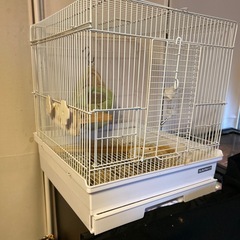 【美品】鳥かご、フクロモモンガ用ケージ 水飲みボトル＋止まり木＋モモンガ用袋付きの画像