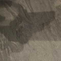 ハイエース標準　リアゲート防虫ネットの画像