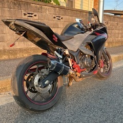 YAMAHAＲ25改の画像