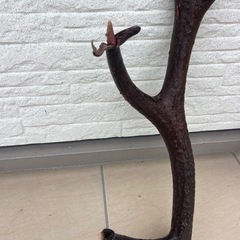 鹿の角☆袋角付き☆超貴重の画像