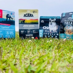 Sunny Park fields  オンラインショップ