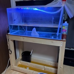 水槽90センチ　水槽台等セット  熱帯魚
の画像
