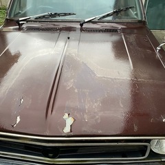 NISSAN サニートラックの画像