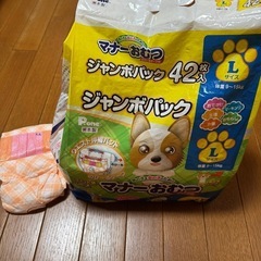 犬　おむつ　