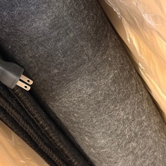 【締め切りました】電気カーペットの画像