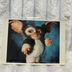 グレムリン ギズモ ポストカードの画像