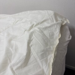 【先約済】NITORI 防臭防ダニ掛け布団の画像