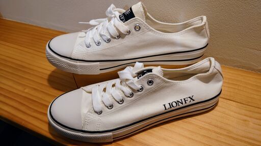 ヒロセ通商 LIONFX オリジナルスニーカー（☆小さめ42サイズ（26