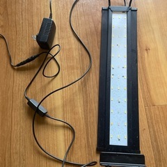 水槽セットの画像