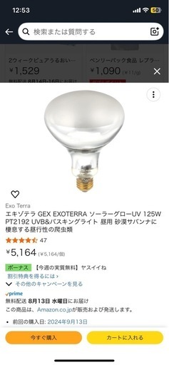 フトアゴヒゲトカゲ飼育セット