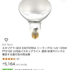 フトアゴヒゲトカゲ飼育セットの画像