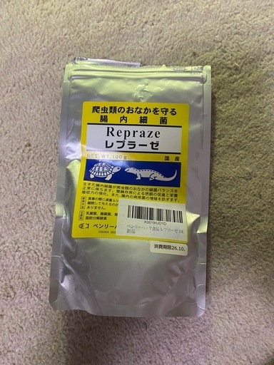 フトアゴヒゲトカゲ飼育セット