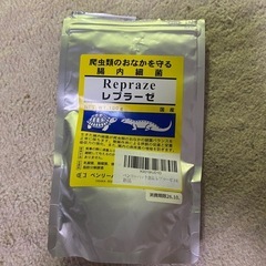 フトアゴヒゲトカゲ飼育セットの画像