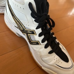 アシックスバレーシューズの画像