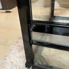 エキゾテラ、ガラスケージの画像
