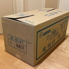 盆提灯　光悦灯　房着3号　一対の画像