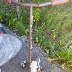 People(ピープル)の幼児、子供用自転車差し上げます❗の画像