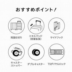 【定価35000円・新品】ACE スーツケース 63L〜75L 拡張機能 アイスグレーの画像