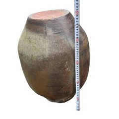ツボ メダカ 花壇 の画像