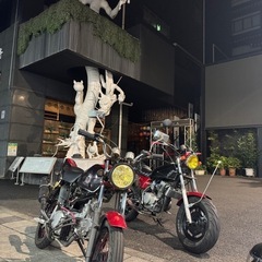 GS50（125cc）の画像