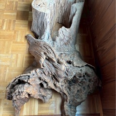 自然木　花台　切り株　オブジェ
の画像