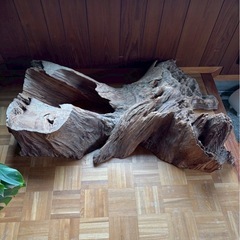 自然木　花台　切り株　オブジェ
の画像