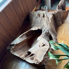 自然木　花台　切り株　オブジェ
の画像