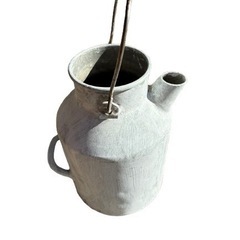 希少品　沖縄ミルクインダーの画像