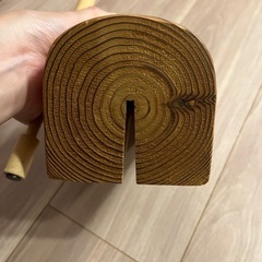 ひっつきむしの木の画像