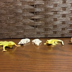 ガチャガチャの画像