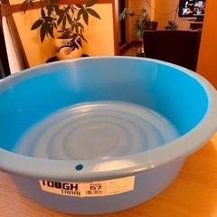 大きめメダカ容器　タライ　プラスチック桶の画像
