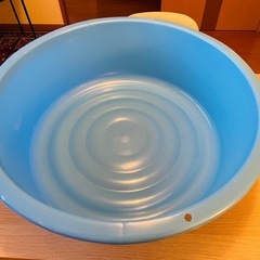大きめメダカ容器　タライ　プラスチック桶の画像