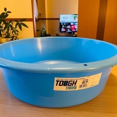 大きめメダカ容器　タライ　プラスチック桶の画像