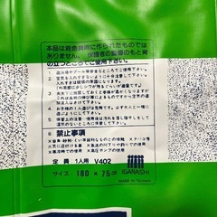 浮き輪(マット型)
の画像