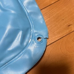 浮き輪(マット型)
の画像