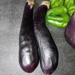 訳あり野菜　【無料】の画像