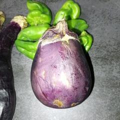 訳あり野菜　【無料】の画像