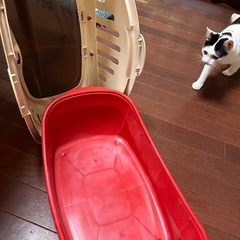 ペットキャリー(小型犬、猫用)の画像