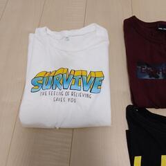 150cm　半袖Tシャツ　男の子　5点セットの画像