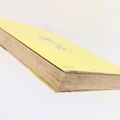 　【希少レア】 大どろぼうホッツェンプロッツ プロイスラー 著の画像