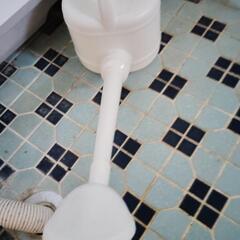 水かけるヤツの画像