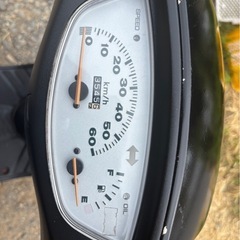 【実働車】HONDA live Dio ホンダ ライブディオ 2st 50cc 原付 通勤 通学の画像