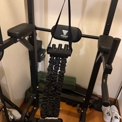 STEADY  懸垂マシン　懸垂アシストチューブ・トレーニングチューブセットの画像