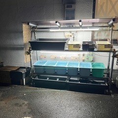 メダカ無人販売所　ひかるメダカの画像