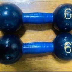 鉄アレイ　ダンベル　5kg 6kg セットの画像