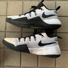 お取引き先予定決定　NIKE ランニングシューズの画像