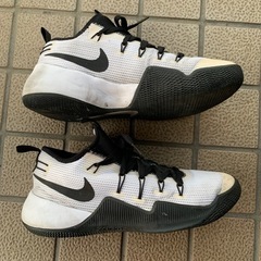 お取引き先予定決定　NIKE ランニングシューズの画像