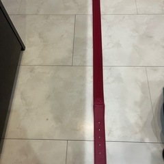 コアエナジー2野球ベルトの画像