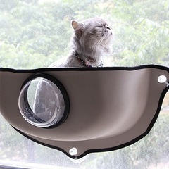 猫　ハンモックの画像