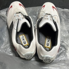 ゴルフスパイクの画像